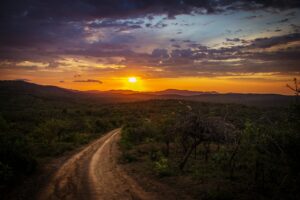 Read more about the article 書籍紹介：The Road Less Traveled ～ 進む人が少ない道。人生の困難を受けとめる道