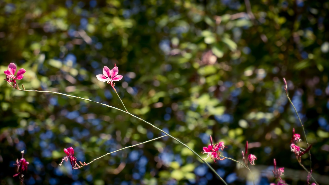 You are currently viewing なぜ私たちはいつも忙しいのか？Busyness is our identity