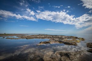 投稿についてもっと詳しく リーダーシップの生みの親、Avis元CEOロバート・タウンゼントのリーダー論