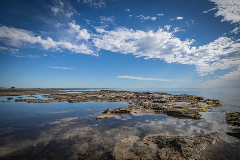 投稿についてもっと詳しく リーダーシップの生みの親、Avis元CEOロバート・タウンゼントのリーダー論