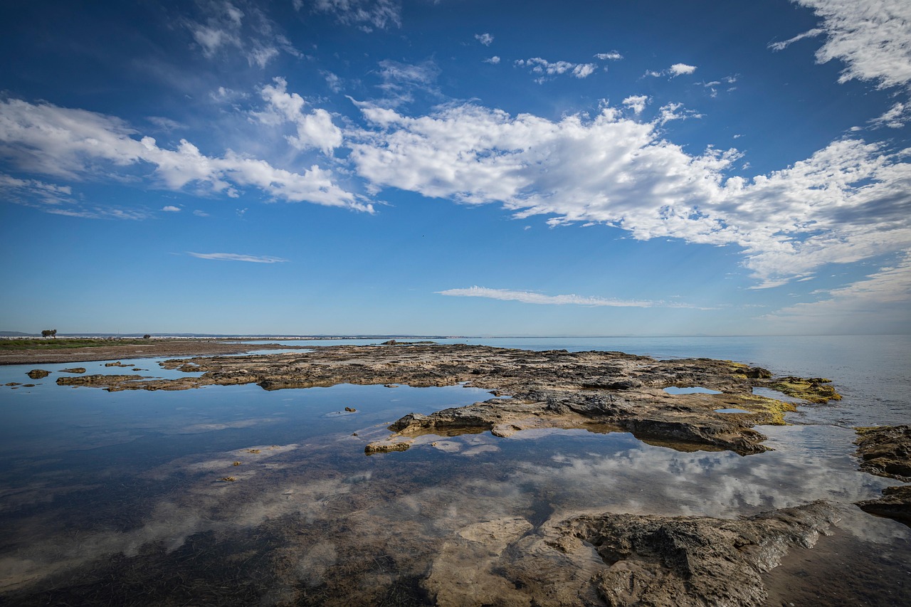 あなたが現在見ているのは リーダーシップの生みの親、Avis元CEOロバート・タウンゼントのリーダー論