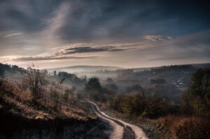 投稿についてもっと詳しく 人間よりも動物を優先する心理と、動物よりも人間を優先する心理