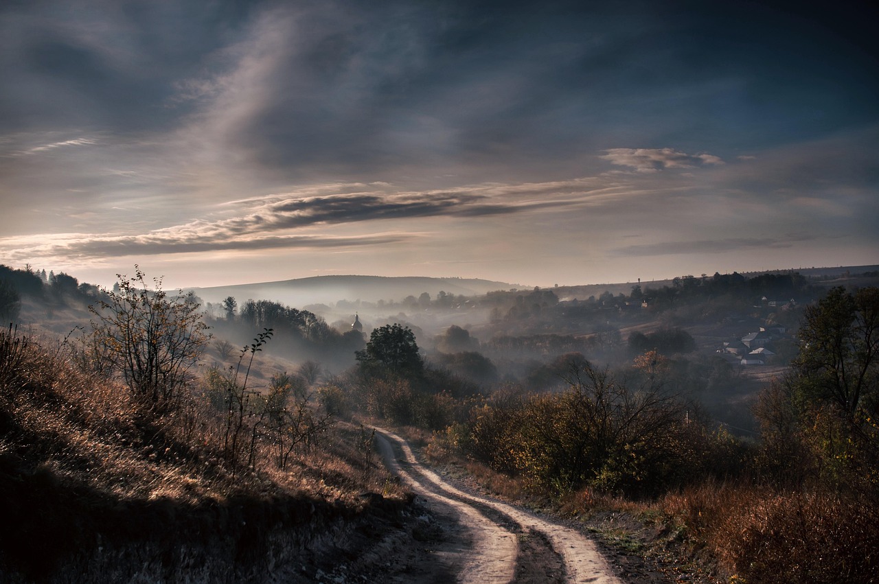 あなたが現在見ているのは 人間よりも動物を優先する心理と、動物よりも人間を優先する心理