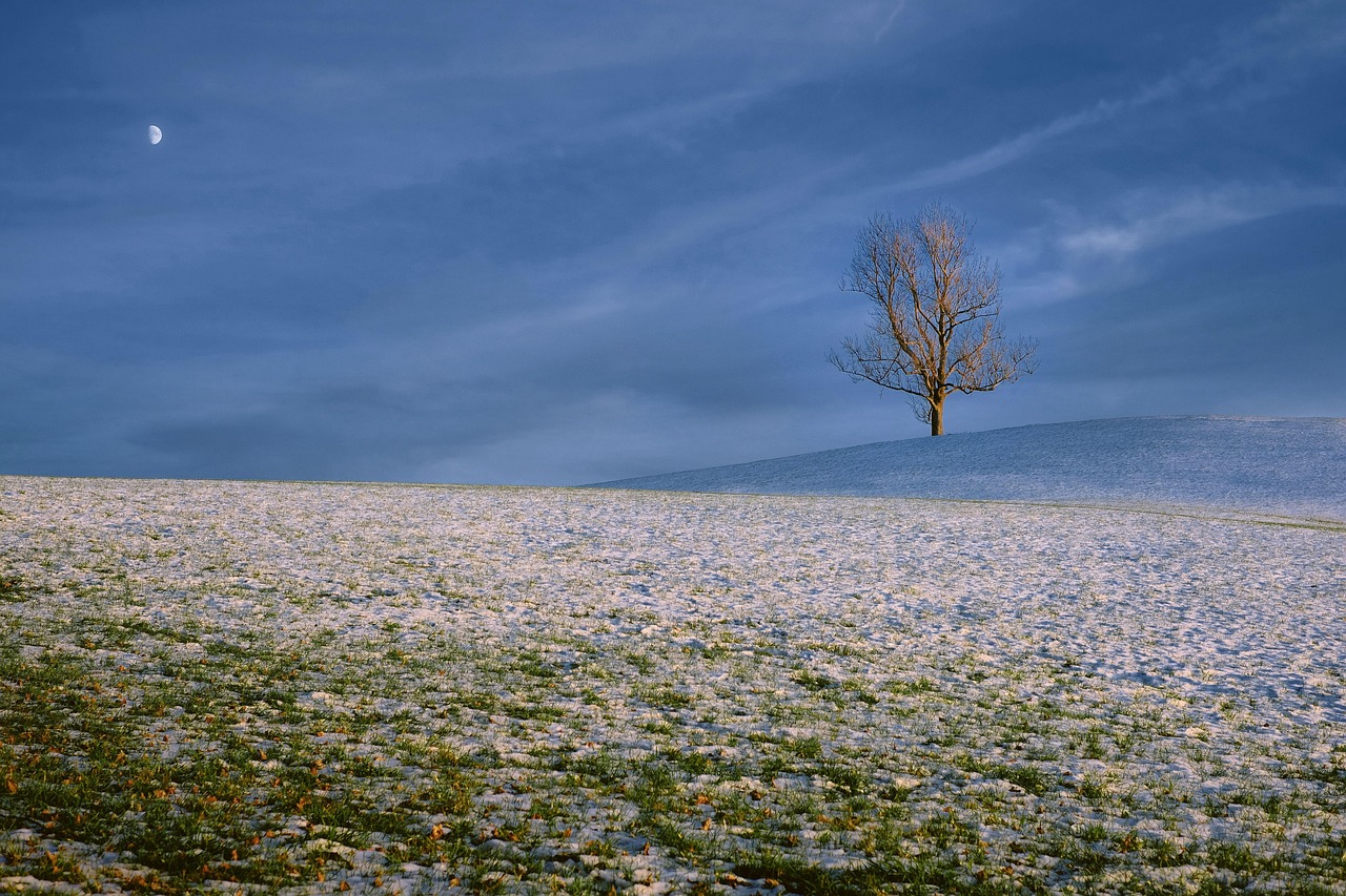あなたが現在見ているのは 人は意味を求める：意味維持モデルから読み解く人生の探求 Meaning Maintenance