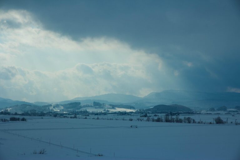 投稿についてもっと詳しく Intelligence Trap：知能の高い人でも間違った判断を犯す６つの理論