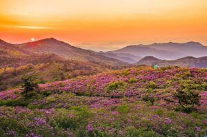 投稿についてもっと詳しく ルールを守らない人を責めても意味がない —— 協力が生まれる仕組みを生み出す