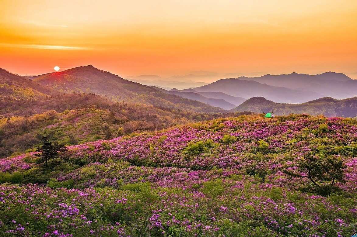 あなたが現在見ているのは ルールを守らない人を責めても意味がない —— 協力が生まれる仕組みを生み出す
