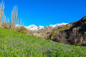 投稿についてもっと詳しく 他人をコントロールしたがる人と、そうでない人との違い（前編：コントロールしたがる人）